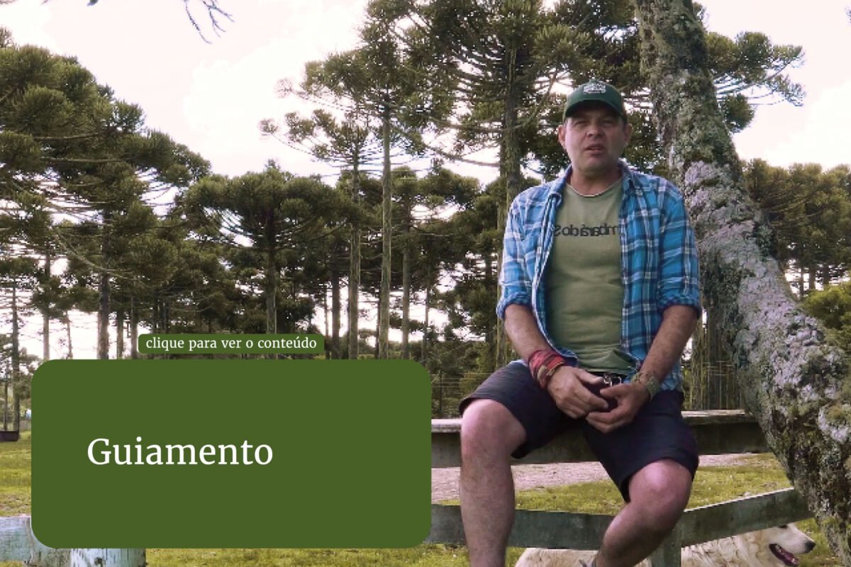 Guiamento