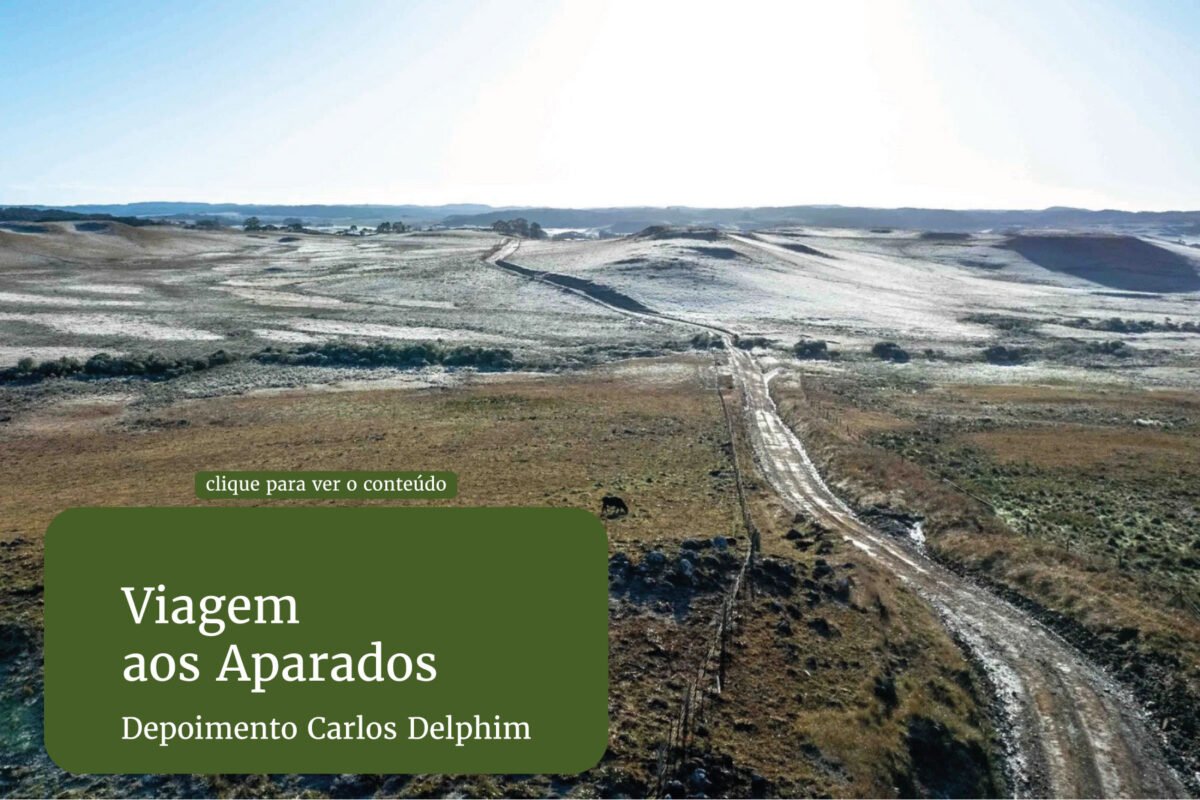 Viagem aos Aparados